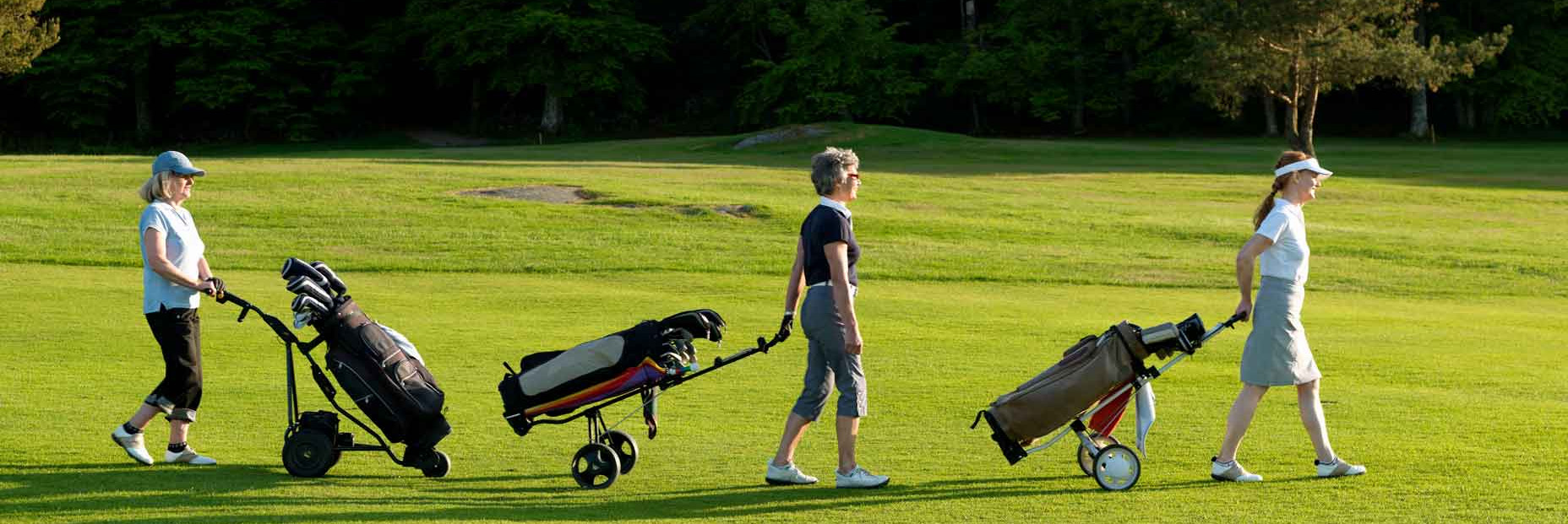 Golf Verkäufe -Golf Verkäufe 1